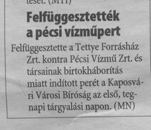 Felfüggesztették a pécsi vízműpert