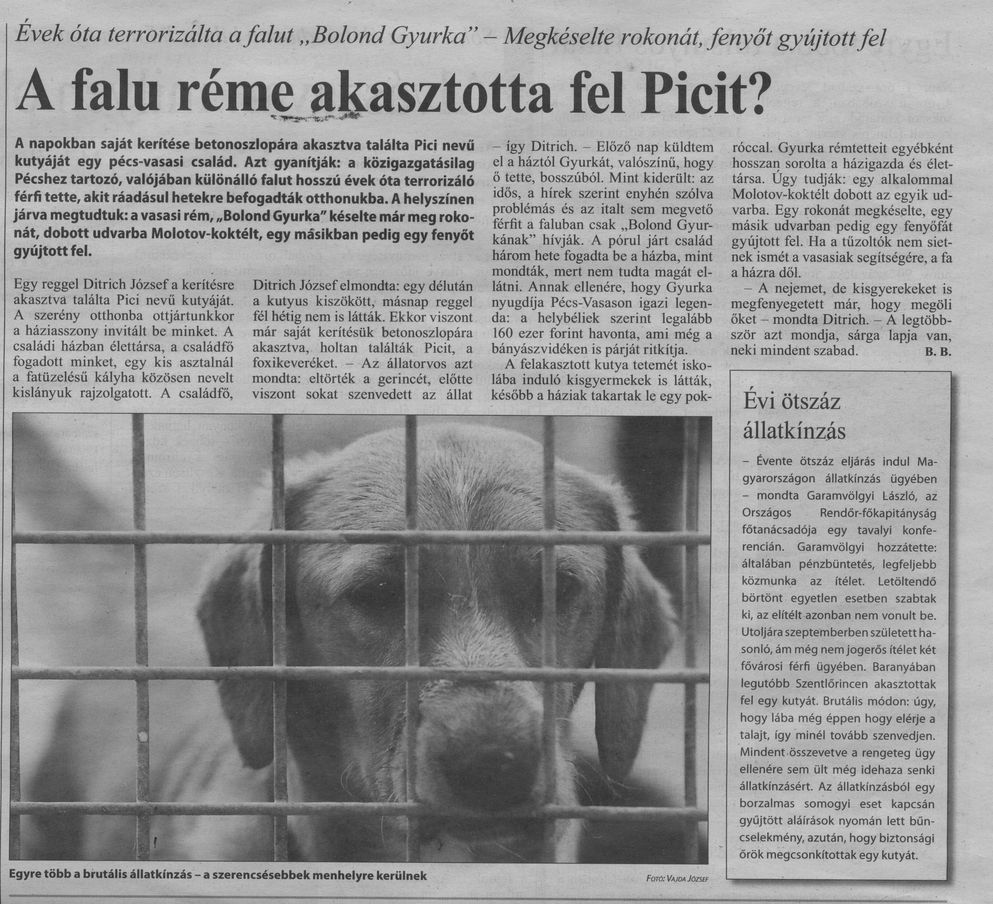 A falu réme akasztotta fel Picit? : Évek óta terrorizálta a falut "Bolond Gyurka" : Megkéselte rokonát, fenyőt gyújtott fel