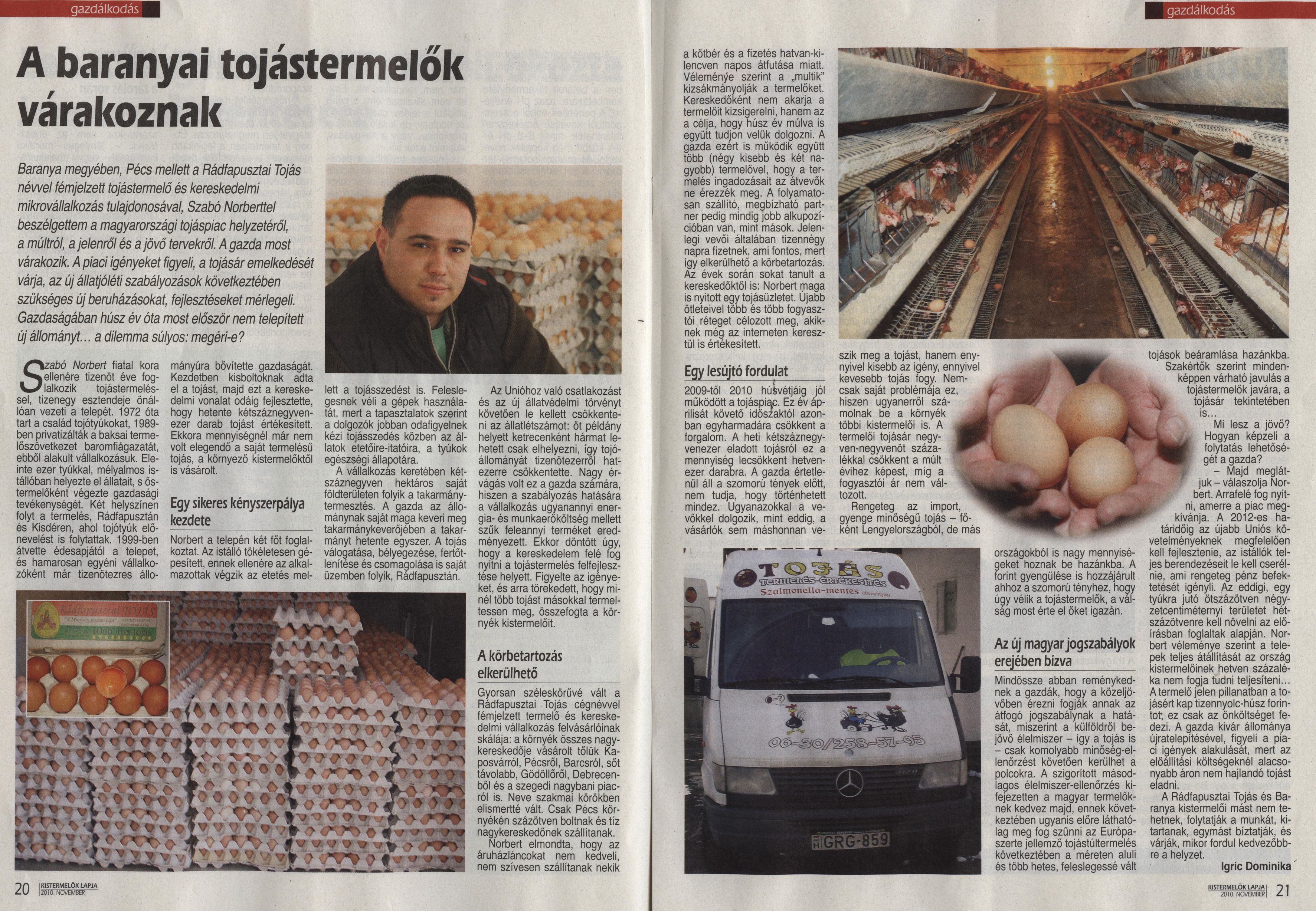 A baranyai tojástermelők várakoznak