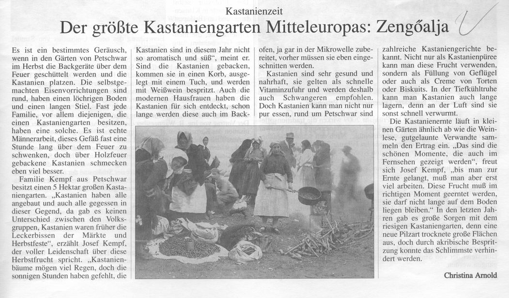 Der gröse Kastaniengarten Mitteleuropas: Zengőalja