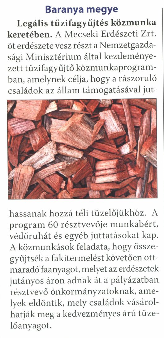 Baranya megye : Legális tűzifagyűjtés közmunka keretében