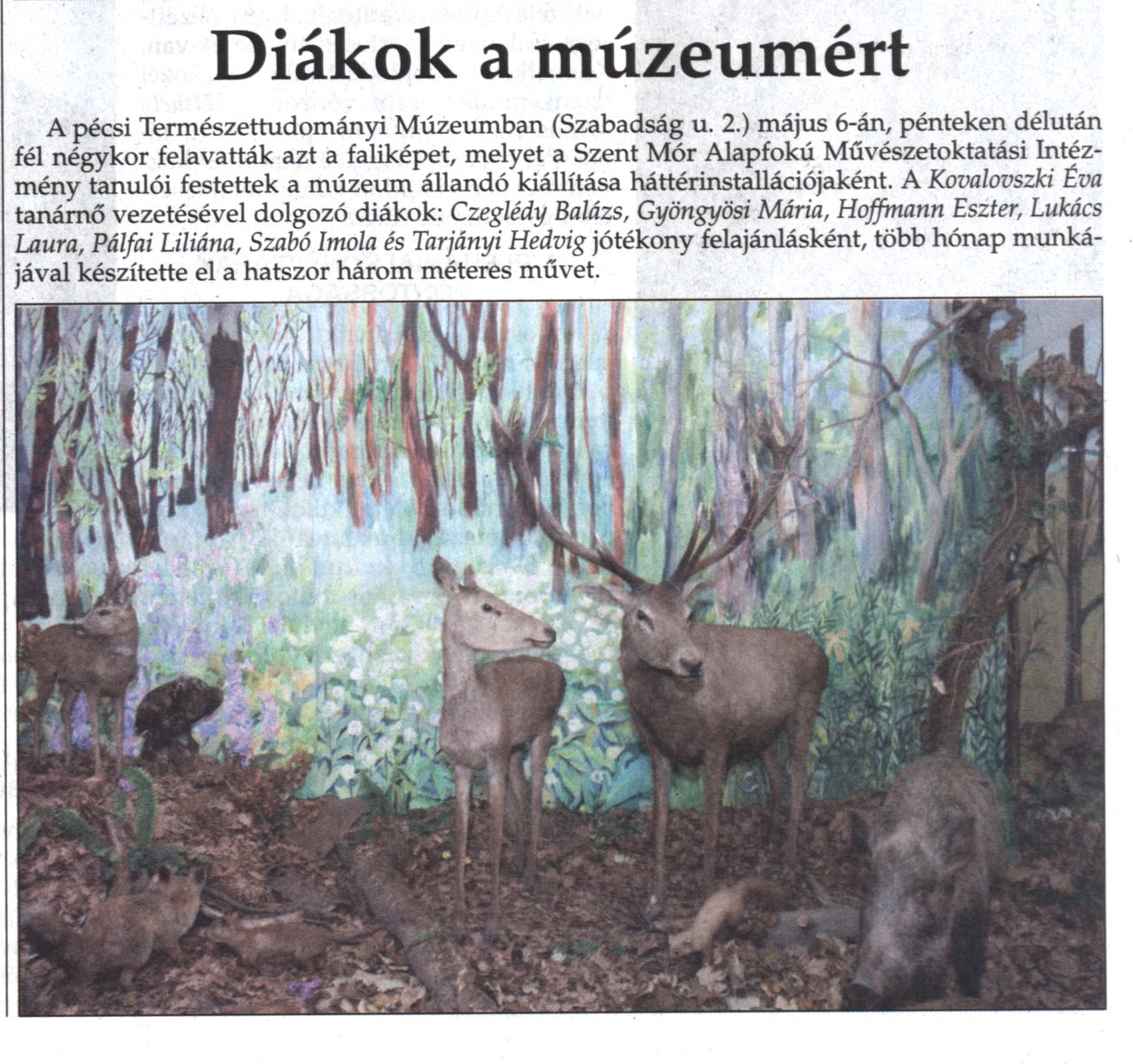 Diákok a múzeumért