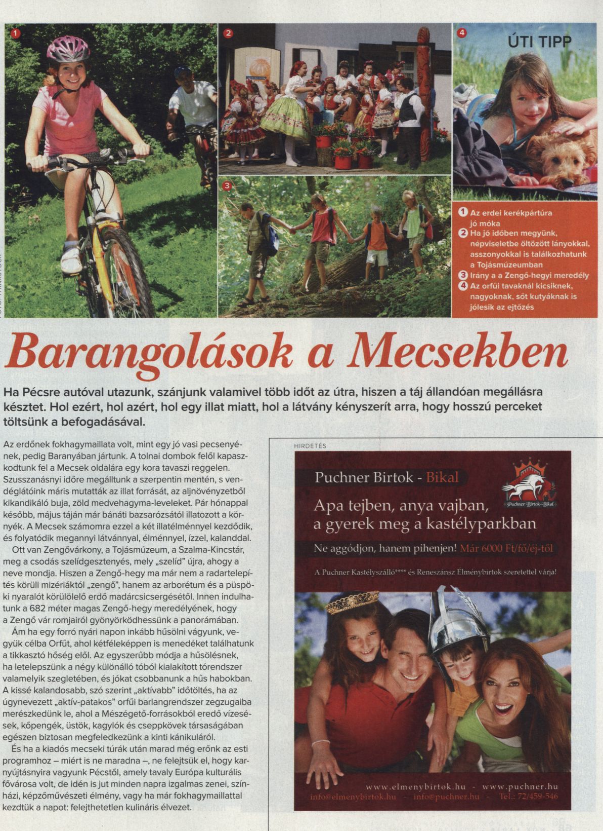 Barangolások a Mecsekben