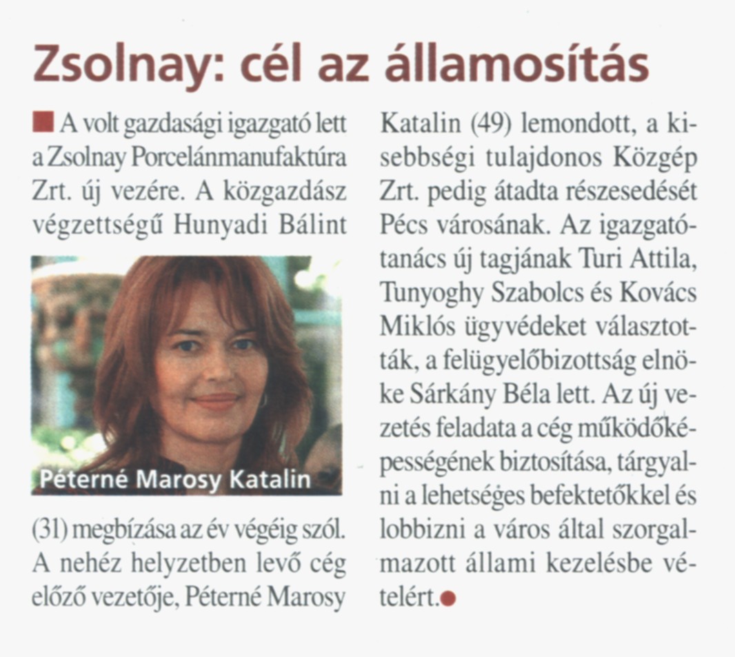 Zsolnay: cél az államosítás