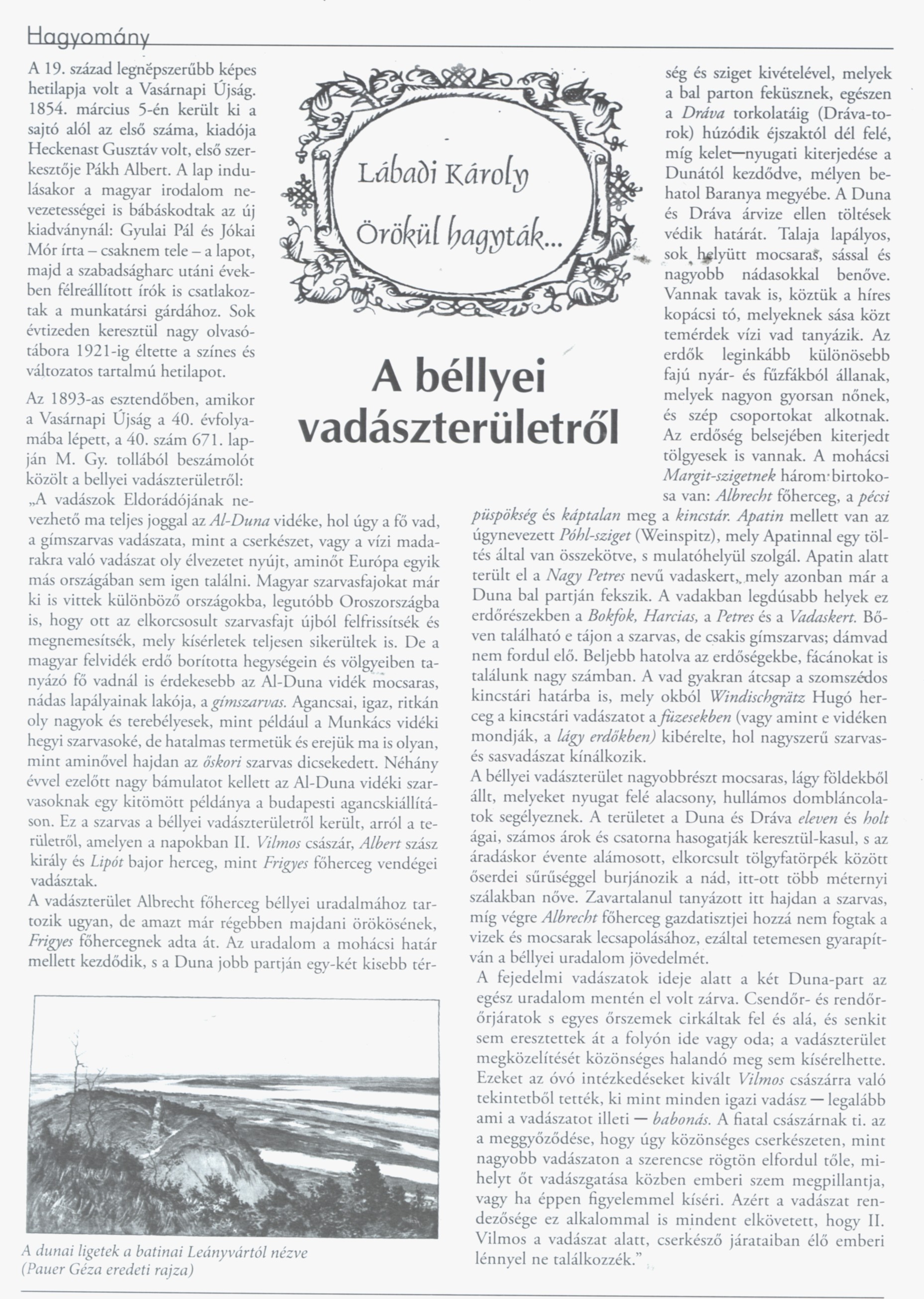 A béllyei vadászterületről
