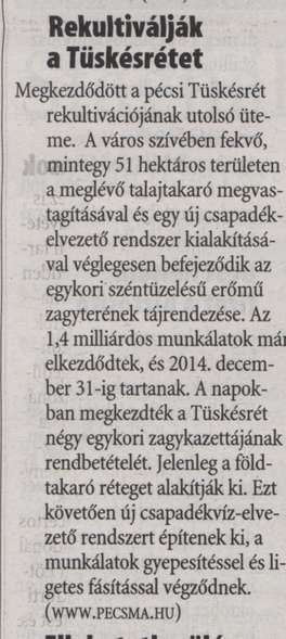 Rekultiválják a Tüskésrétet