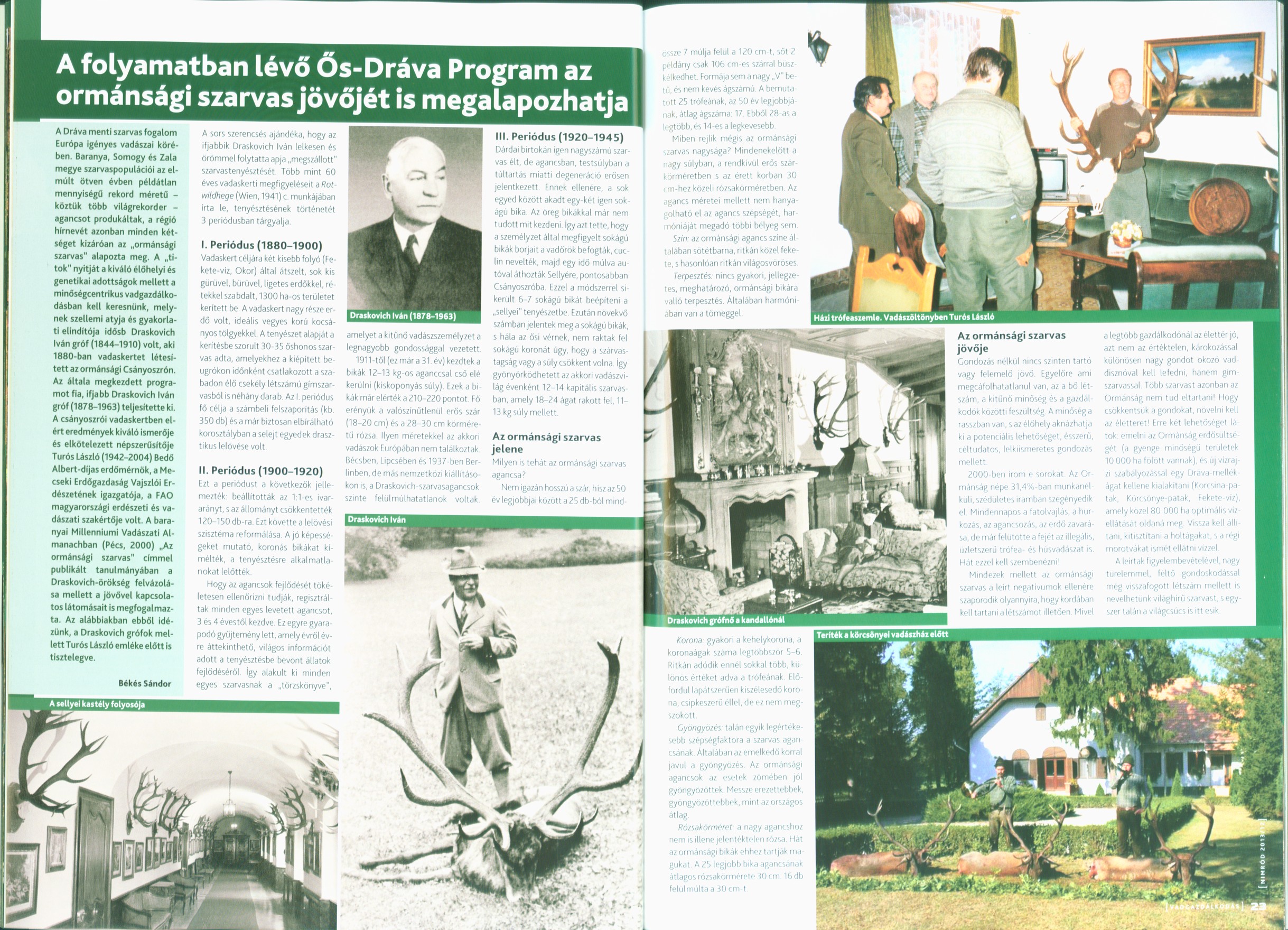A folyamatban lévő Ős-Dráva Program az ormánsági szarvas jövőjét is megalapozhatja
