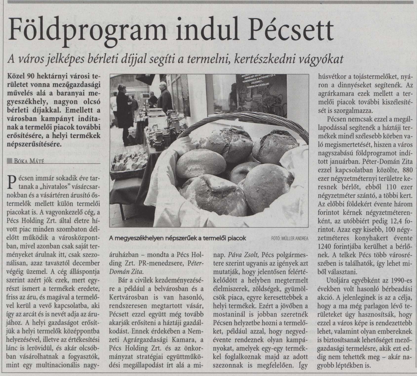 Földprogram indul Pécsett A város jelképes bérleti díjjal segíti a termelni, kertészkedni vágyókat