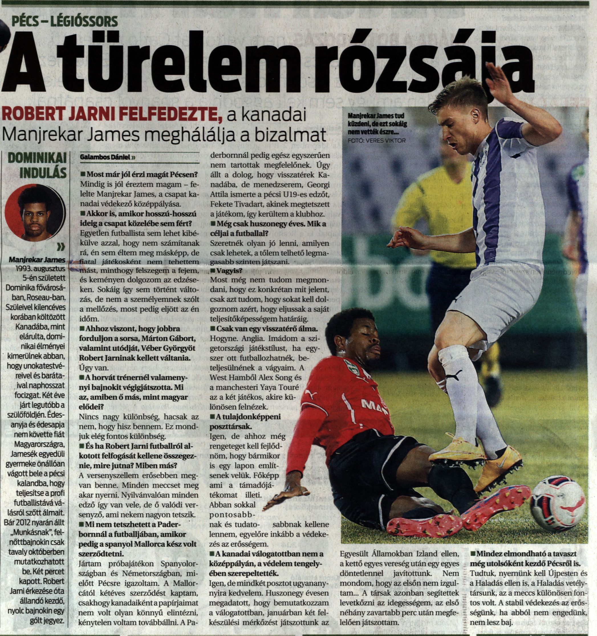 A türelem rózsája Robert Jarni felfedezte, a kanadai Manjrekar James meghálálja a bizalmat