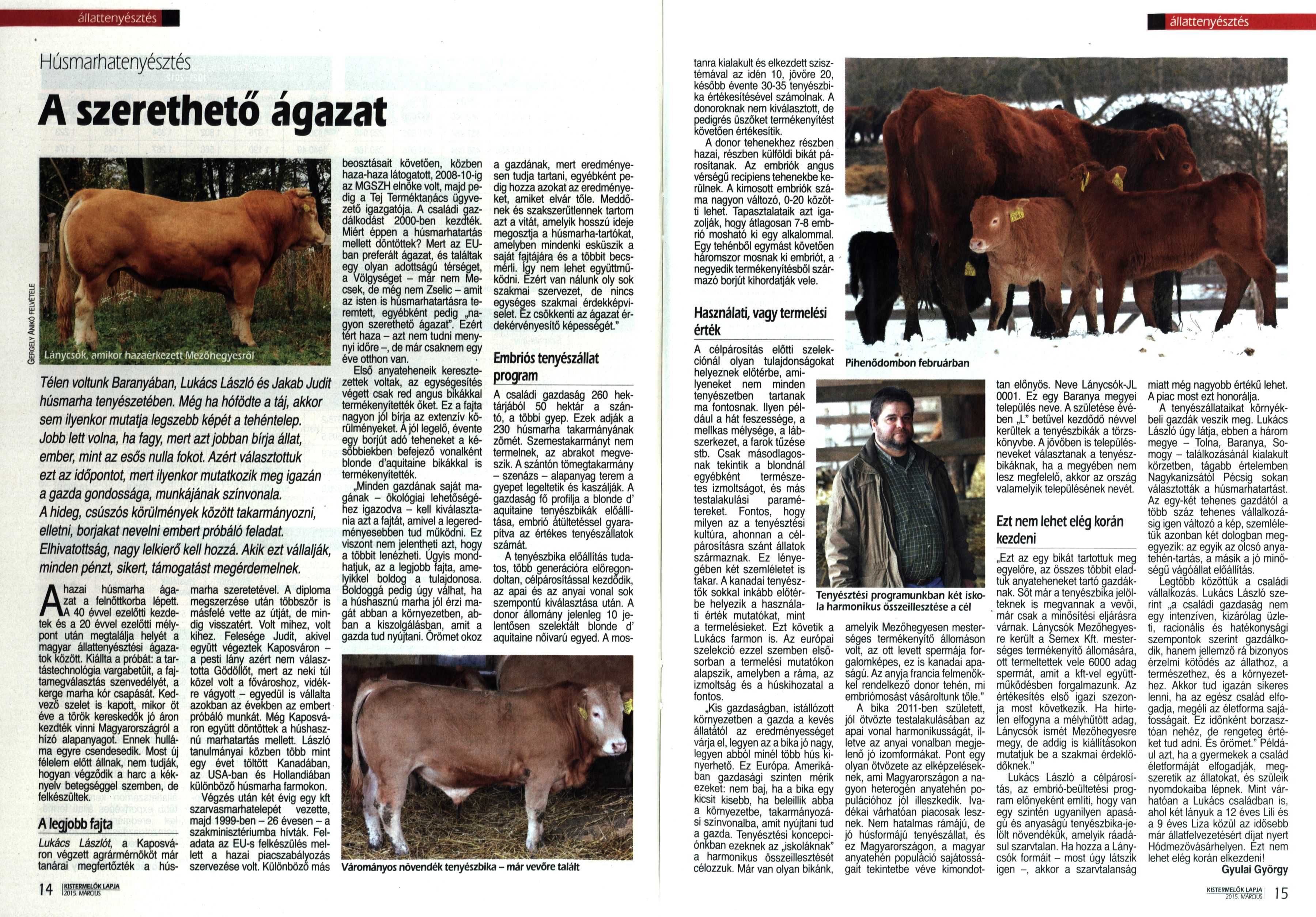 A szerethető ágazat