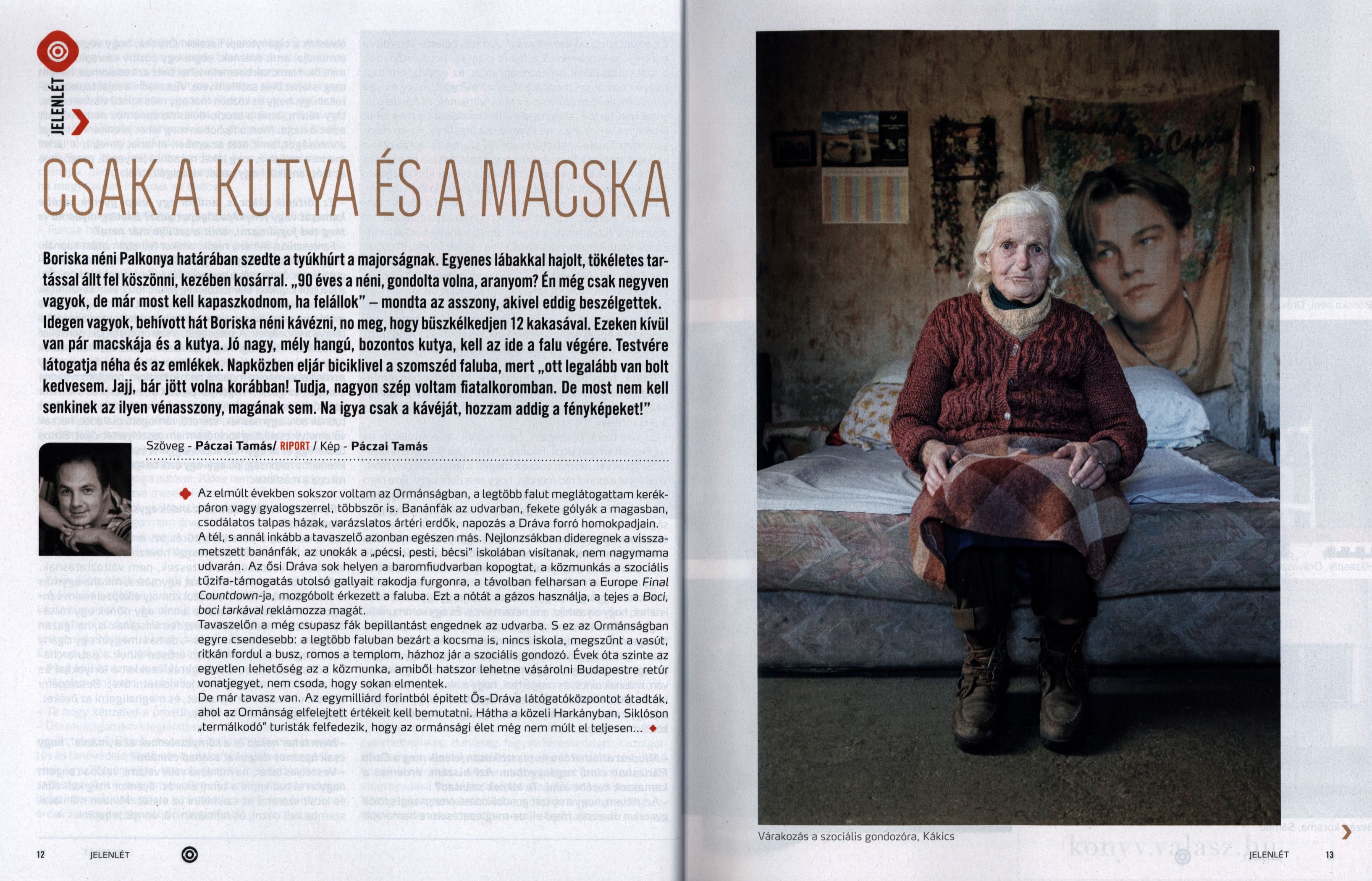 Csak a kutya és a macska