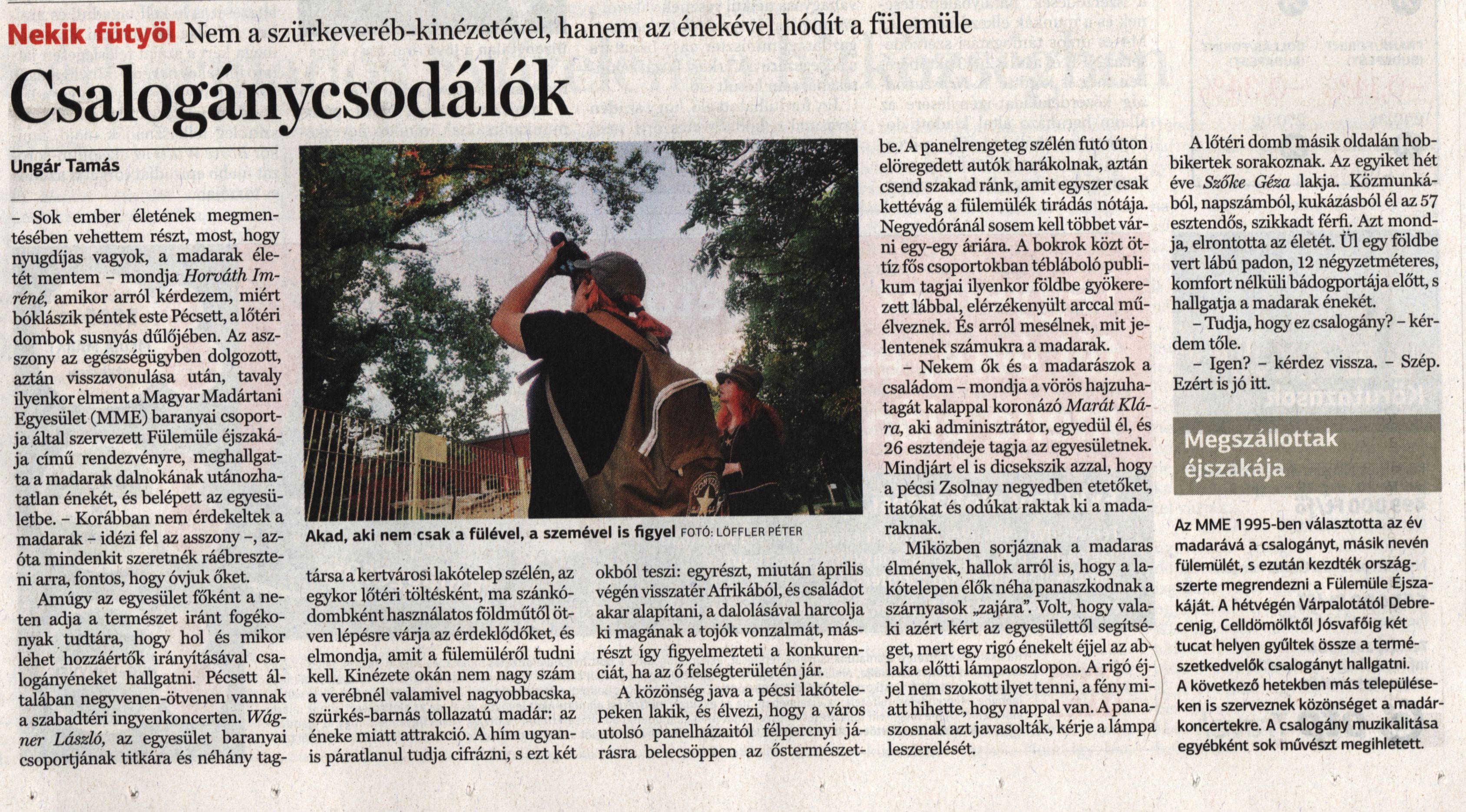Csalogánycsodálók Nekik fütyöl. Nem a szürkeveréb kinézetével, hanem az énekével hódít a fülemüle