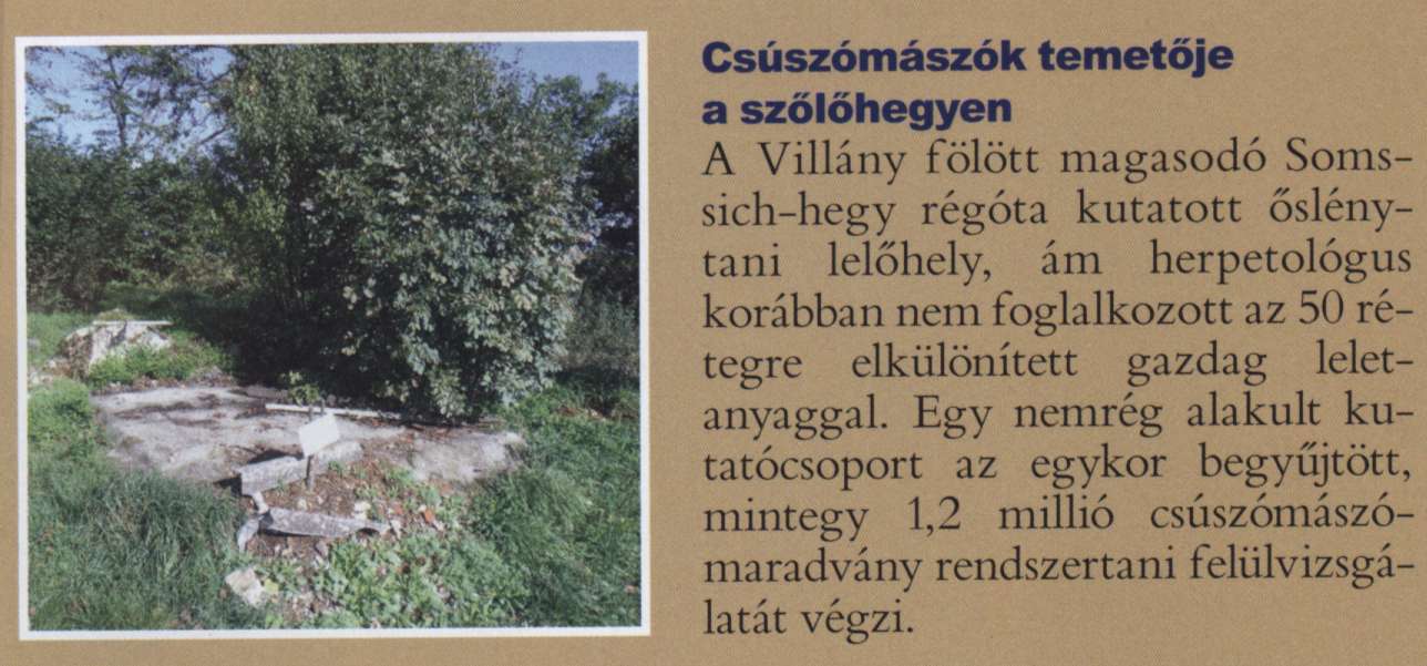 Csúszómászók temetője a szőlőhegyen