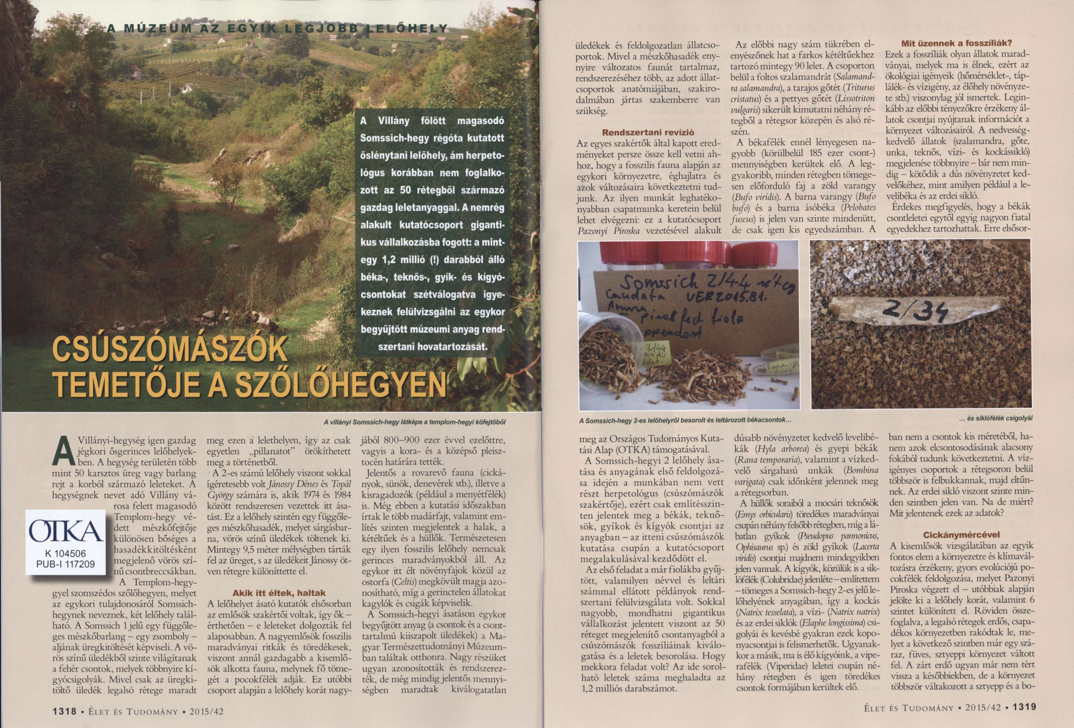 Csúszómászók temetője a szőlőhegyen