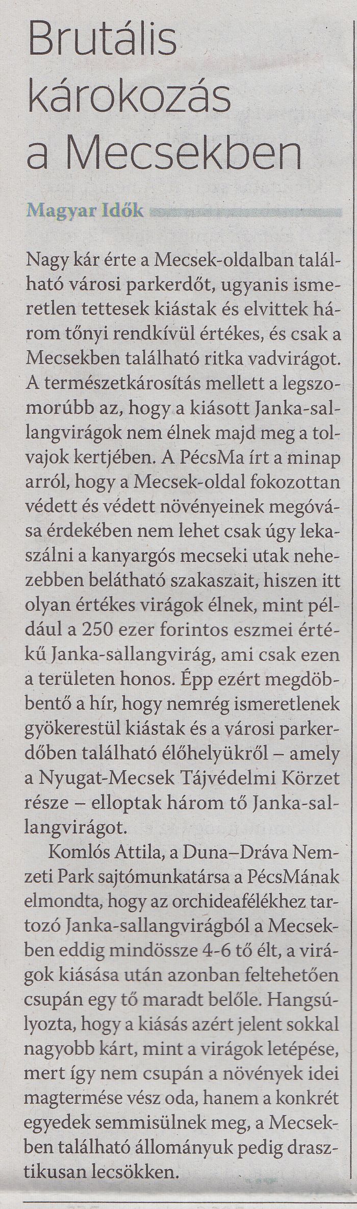 Brutális károkozás a Mecsekben