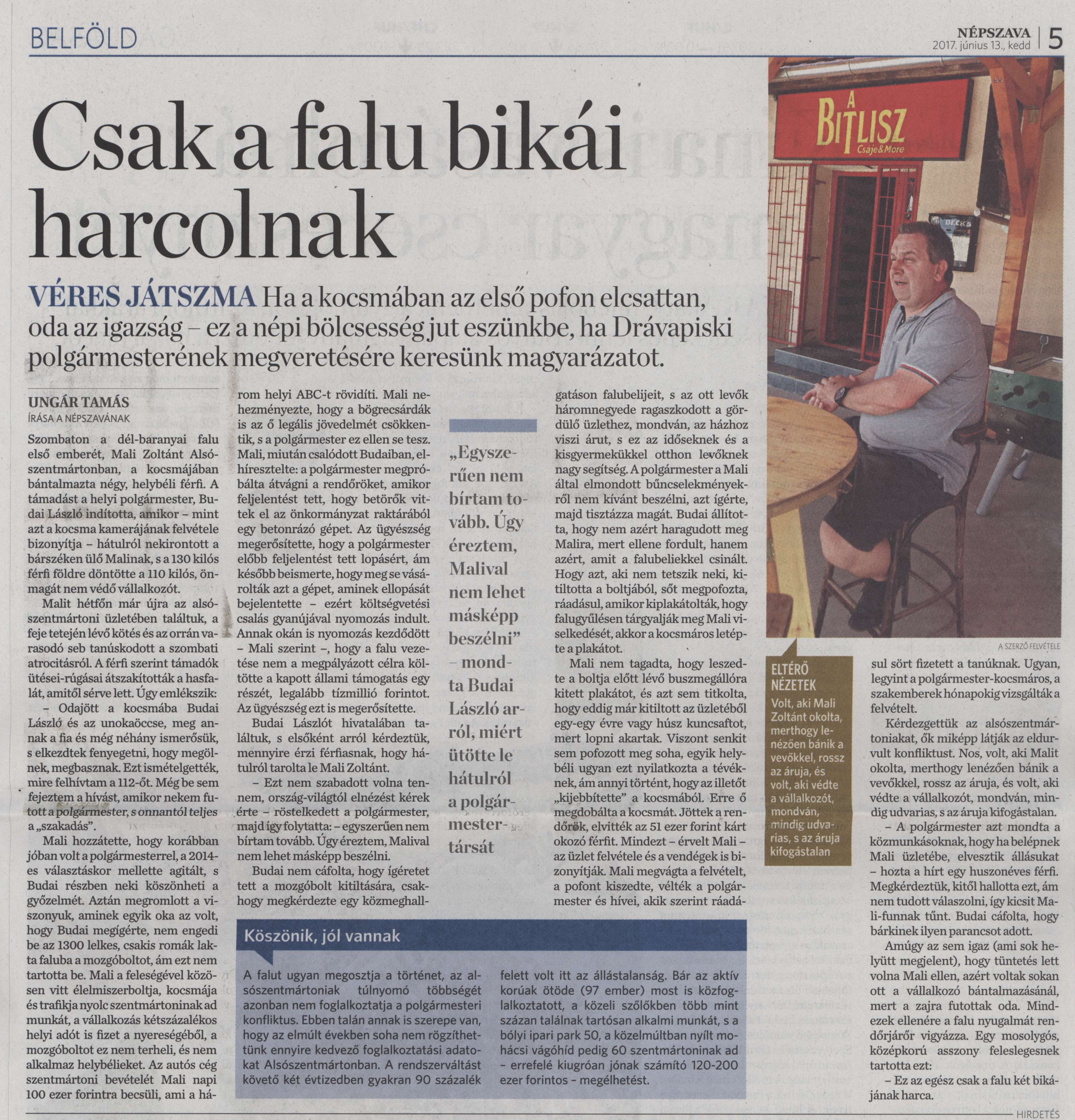 Csak a falu bikái harcolnak