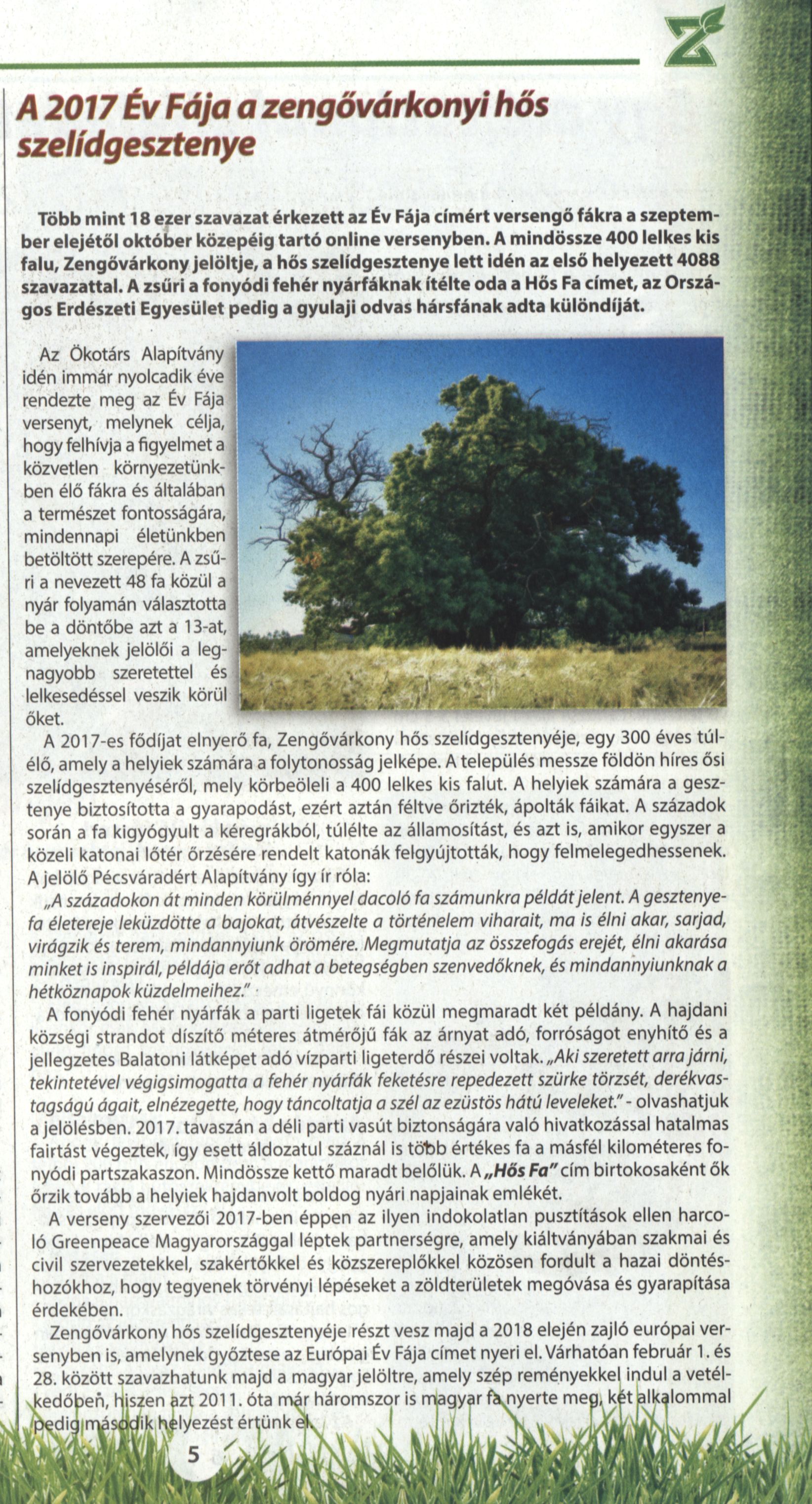 A 2017 Év Fája a zengővárkonyi hős szelídgesztenye