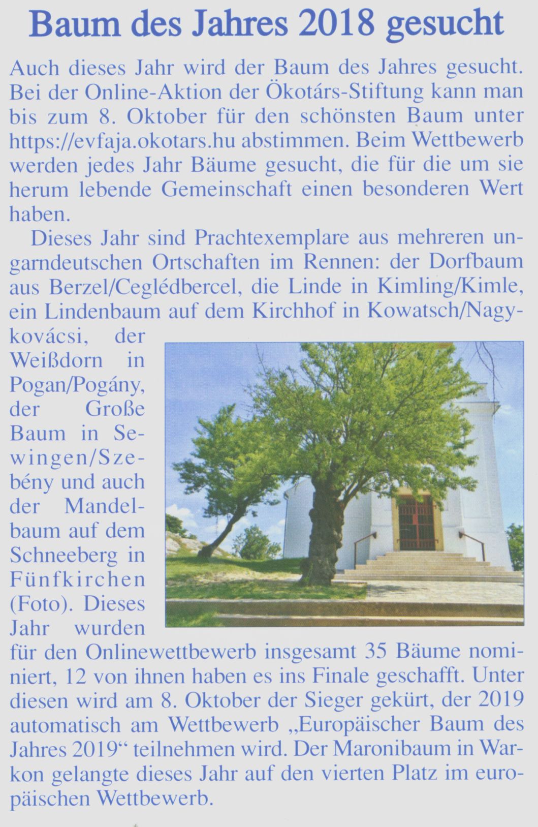 Baum des Jahres 2018 gesucht