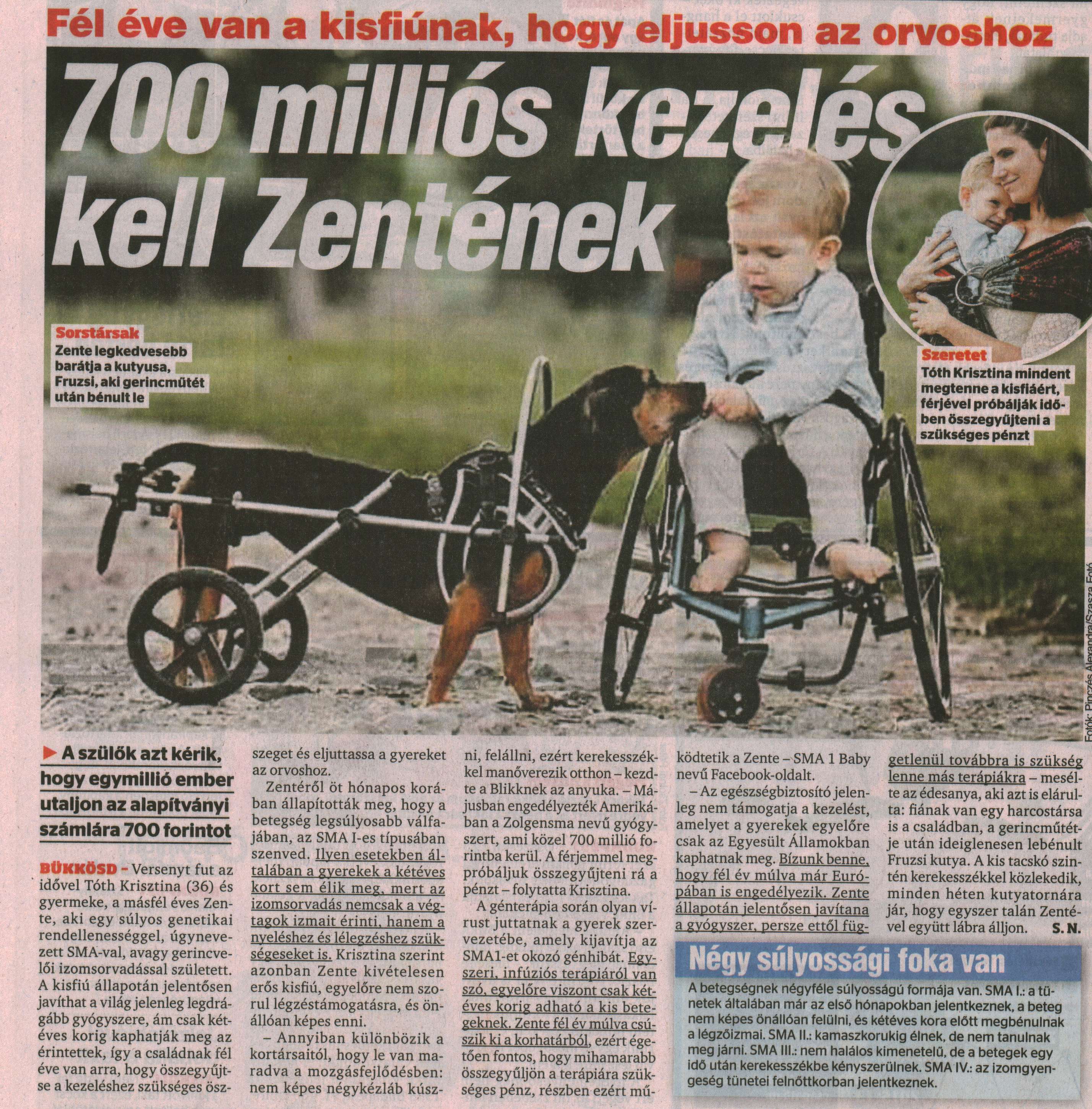 700 milliós kezelés Zentének