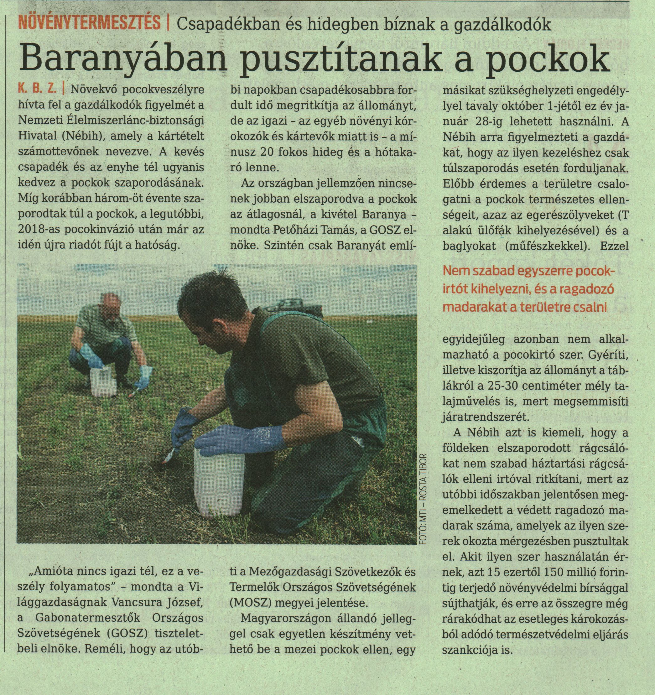 Baranyában pusztítanak a pockok