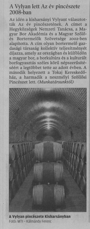 A Vylyan lett az év pincészete 2008-ban