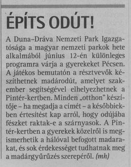 Építs odút!