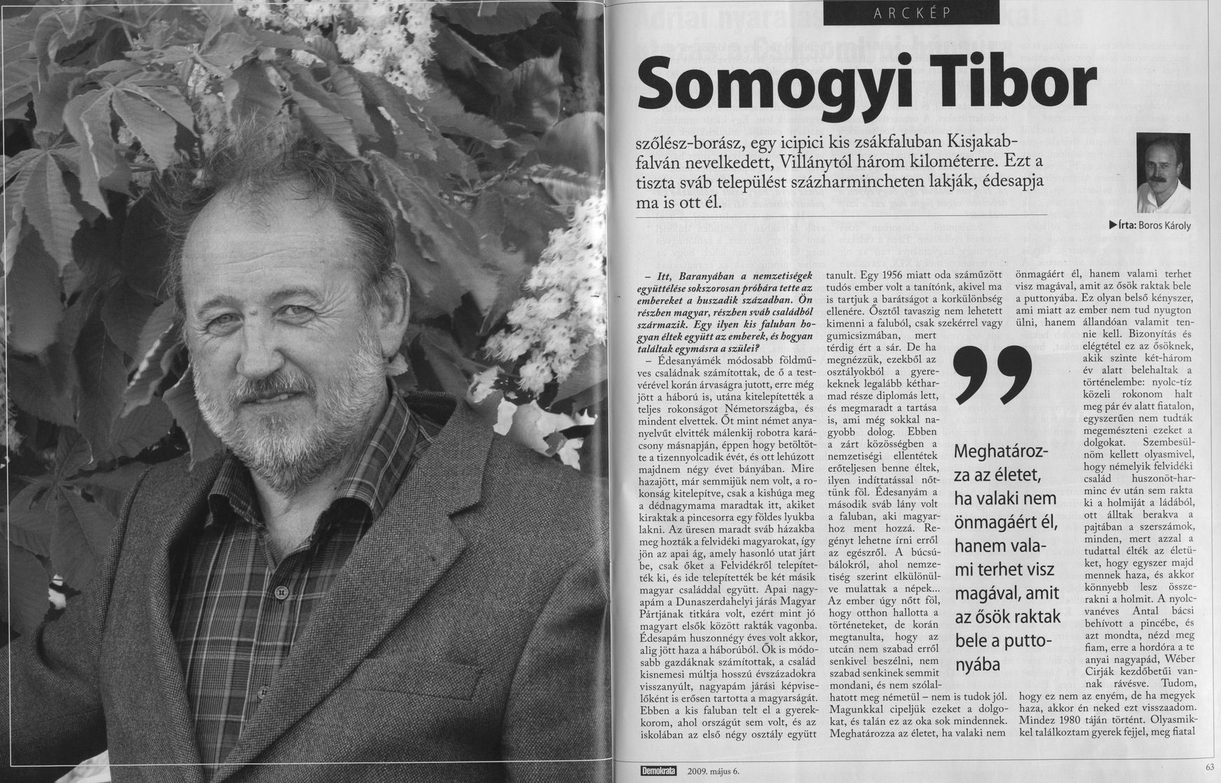 Somogyi Tibor