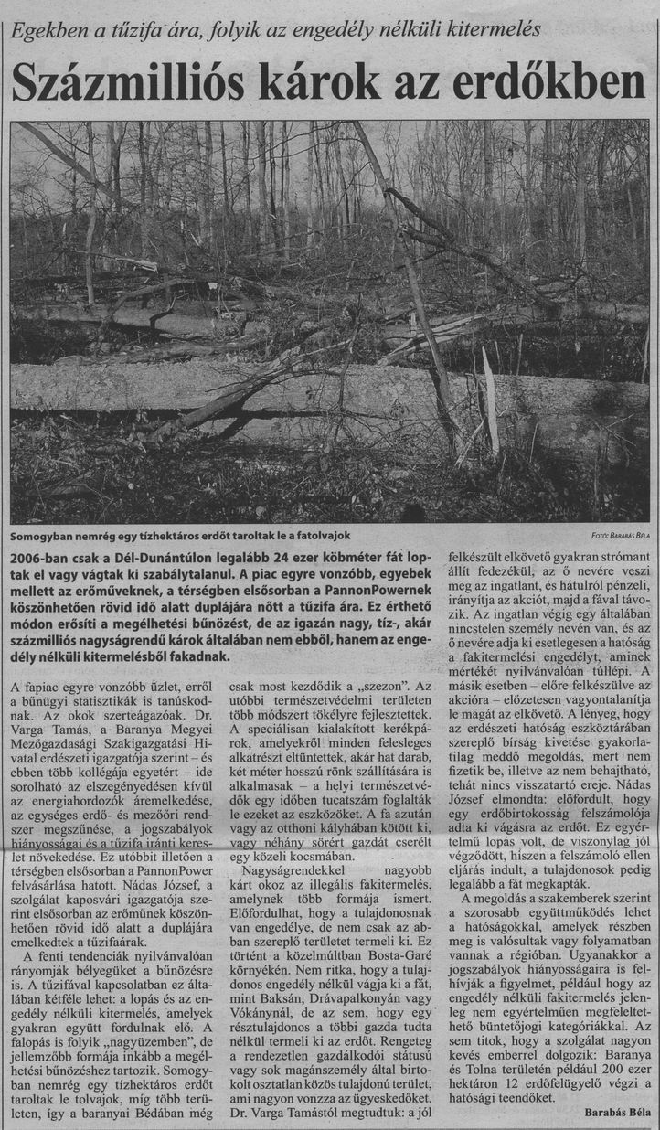 Százmilliós károk az erdőkben