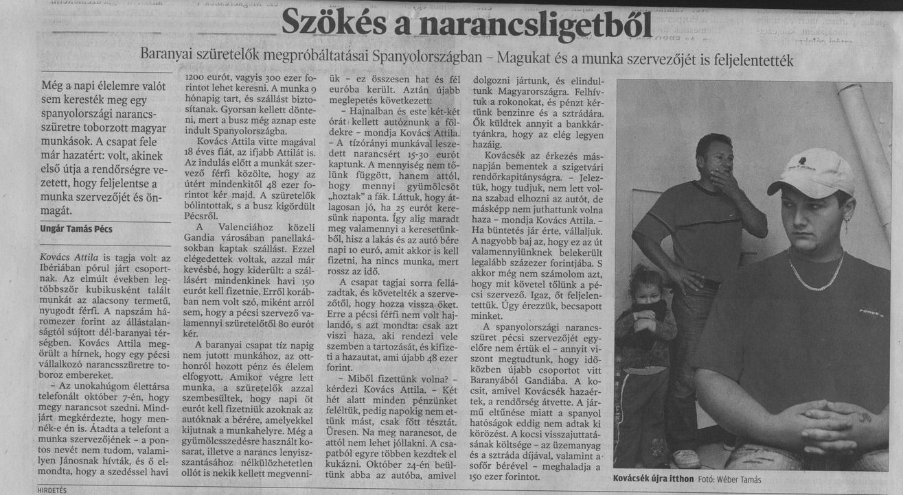 Szökés a narancsligetből Baranyai szüretelők megpróbáltatásai Spanyolországban - Magukat és a munka szervezőjét is feljelentették