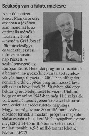 Szükség van a fakitermelésre
