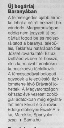 Új bogárfaj Baranyában