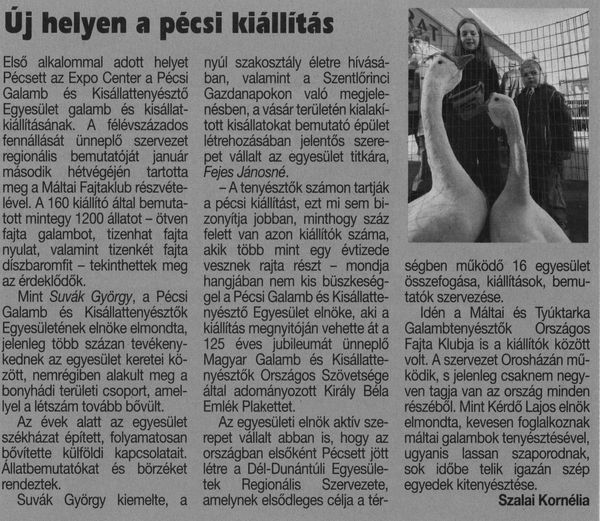 Új helyen a pécsi kiállítás