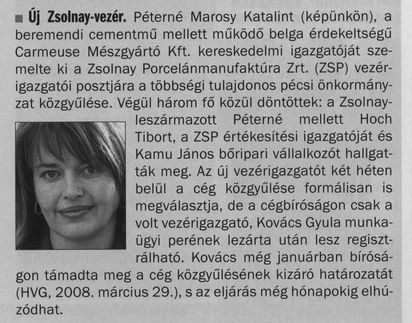 Új Zsolnay-vezér